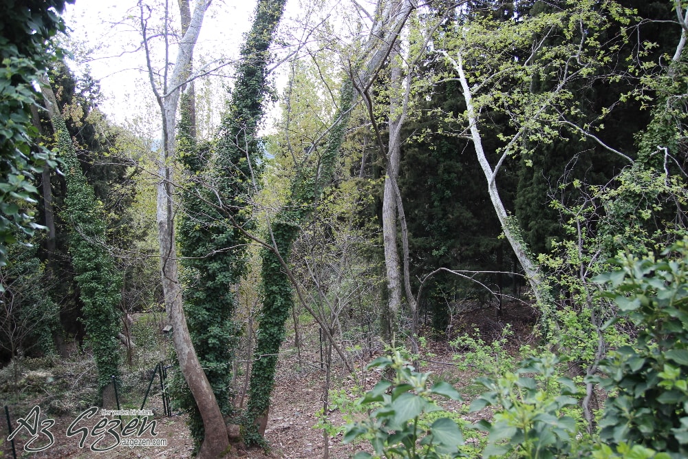 meryem-ana-izmir-blog